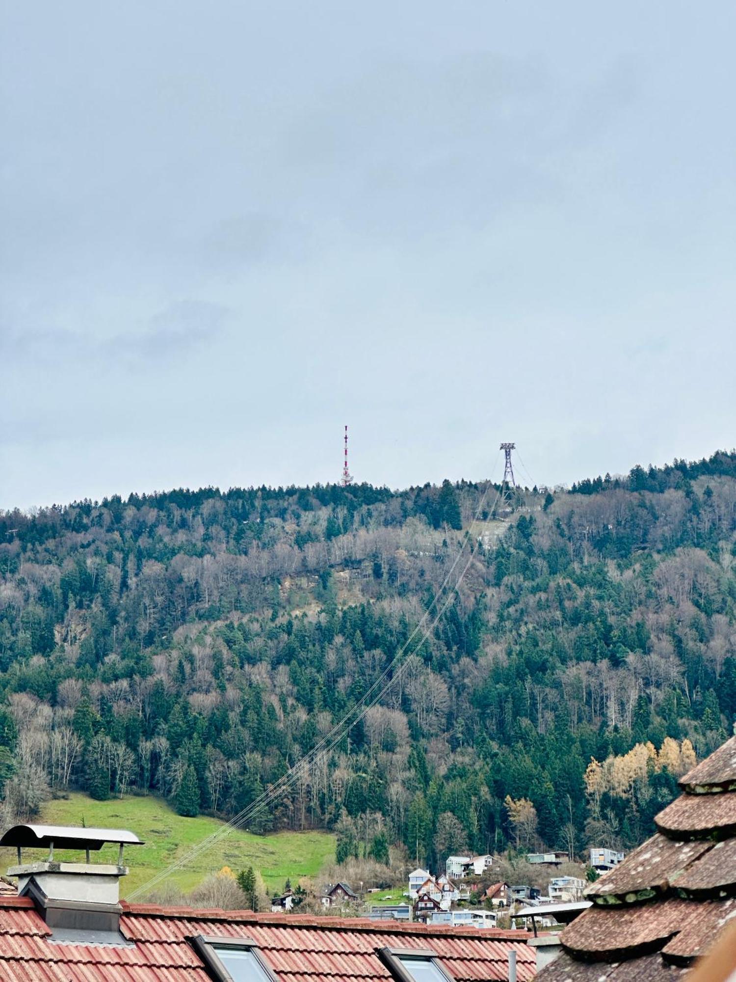 Zentrale Wohnung Mit Dachterasse Bregenz Exterior foto